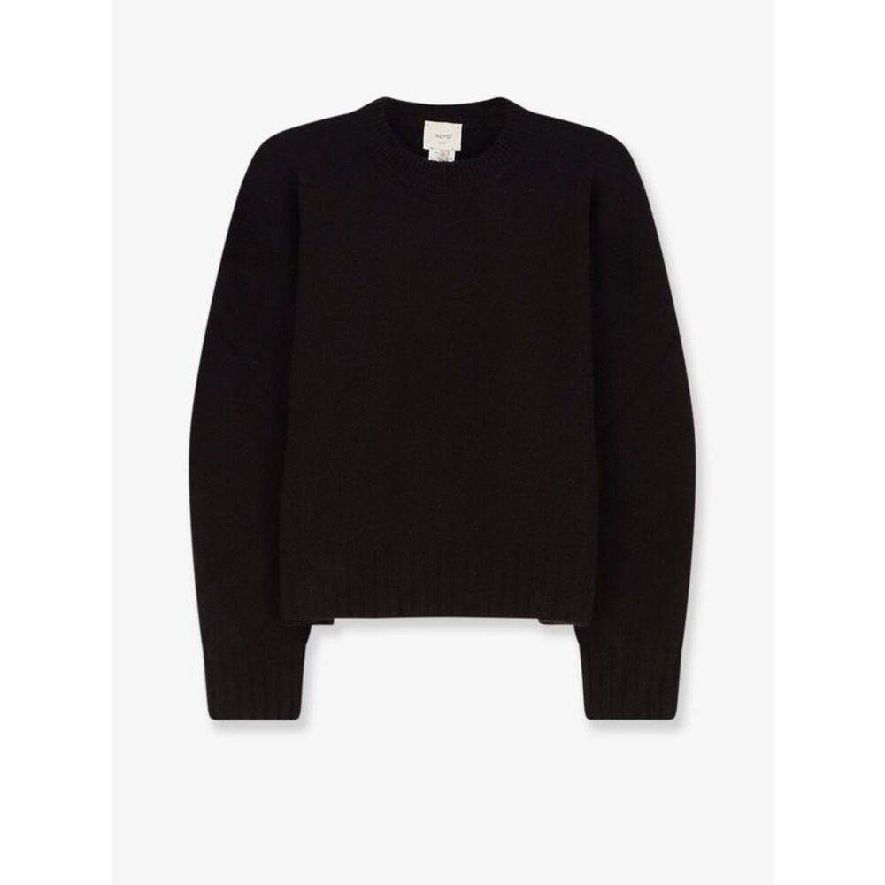 Alysi Women Merino Wool And Cashmere Blend Sweater